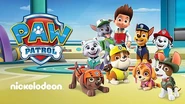 PAW Patrol | PAW Patrol Wiki | Fandom