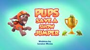 Pups Save a Show Jumper TC