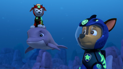 Whale Patroller, PAW Patrol Wiki