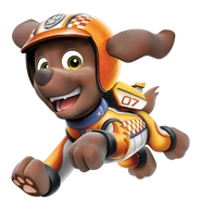 Zuma - RRR Outfit.png (844 KB) Racing outfit