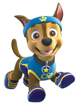 Chase dog paw patrol sales