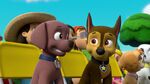 PAW Patrol Season 2 Episode 10 Pups Save a Talent Show - Pups Save the Corn Roast 573640