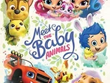Meet the Baby Animals