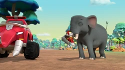 Hidden jungle elephants/Trivia | PAW Patrol Wiki | Fandom