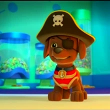 zuma pirate paw patrol