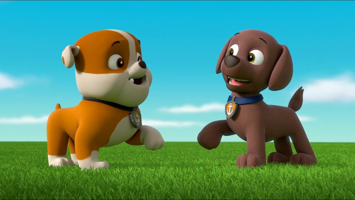 Zuma/Gallery, PAW Patrol Wiki, Fandom