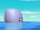 Baby whale