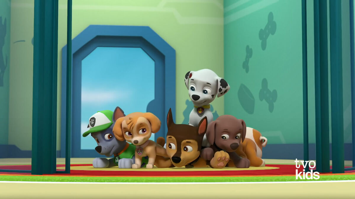 Paw patrol tvo new arrivals