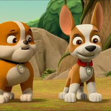 paw patrol jungle tracker