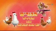 מפרץ ההרפתקאות הגורים מצילים את יום התרנגולות.png (408 KB) "Pups Save Chicken Day" ("הגורים מצילים את יום התרנגולות") title card on Nick Jr.