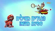 מפרץ ההרפתקאות הגורים מצילים ספינת משא!.png (385 KB) "Pups Save a Freighter" ("הגורים מצילים ספינת משא!") title card on Nick Jr.