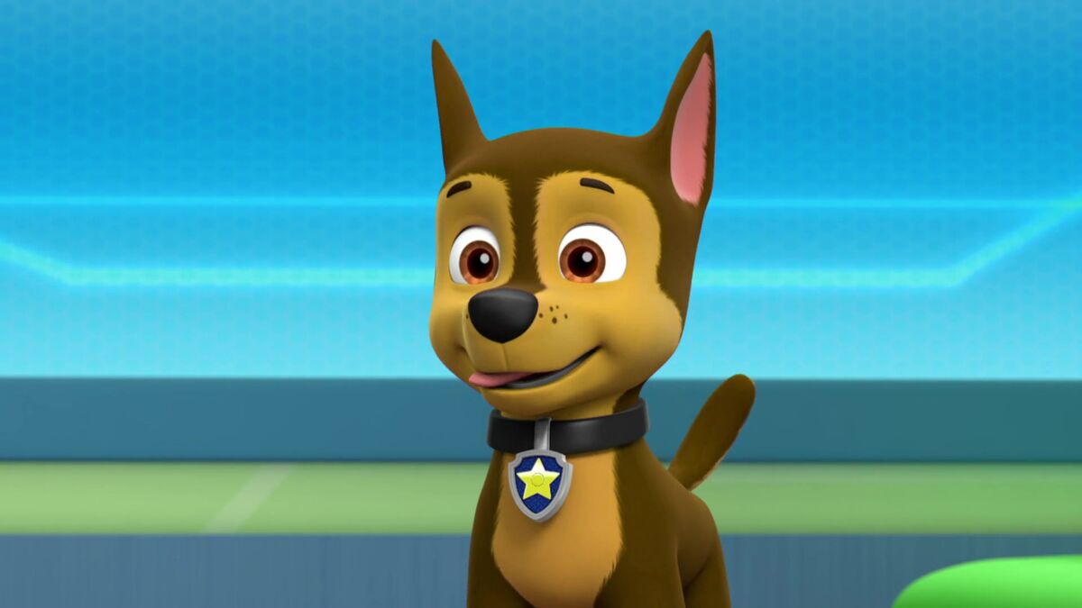 Chasegallerypups Save Chicken Day Paw Patrol Wiki Fandom 