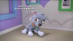 PAW Patrol Stinky Flower Scene 5