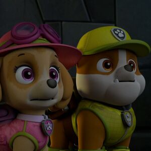 tracker joins the pups