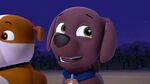 PAW.Patrol.S02E16.Pups.Save.a.Mer-Pup.720p.WEBRip.x264.AAC 353053