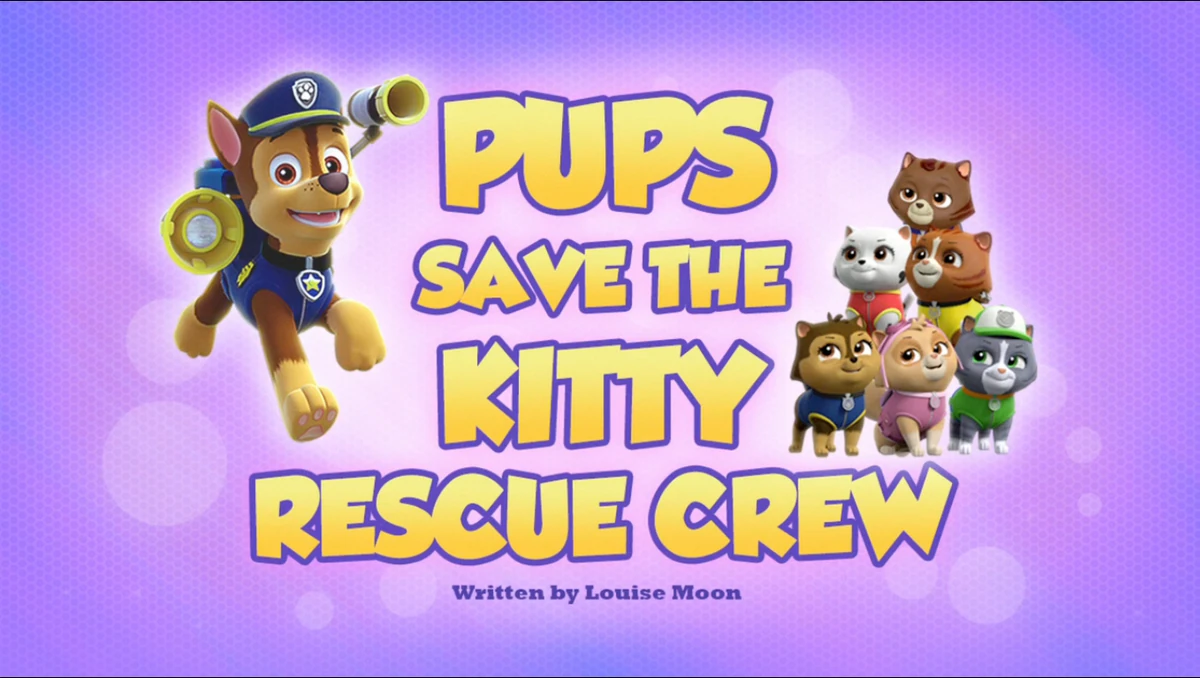 Pups Save the Kitty Rescue Crew | PAW 