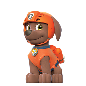 Paw patrol