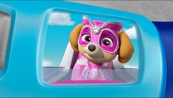 Skye Meets the Mighty Twins and MORE, PAW Patrol