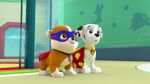 PAW.Patrol.S02E03.Pups.Save.Jake.-.Pups.Save.the.Parade.720p.WEBRip.x264.AAC 230997