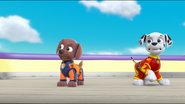 PAW Patrol Air Pups Marshall Zuma