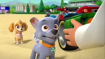 paw patrol air pups toys