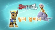 "Sea Patrol: Pups Save Tilly Turbot" ("틸리 할머니") title card
