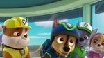 PAW.Patrol.S02E02.Pups.Save.the.Penguins.-.Pups.Save.a.Dolphin.Pup.720p.WEBRip.x264.AAC.mp4 000221588