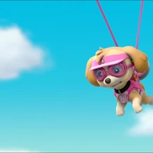 paw patrol sea patrol sky