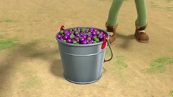 A bucket of bayberries