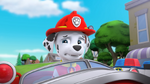 PAW Patrol Pups Save Friendship Day Scene 5