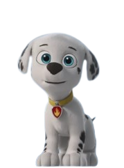 Marshall, Wiki Paw Patrol