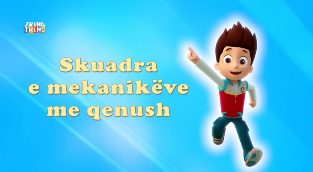 Paw patrol electric trike top