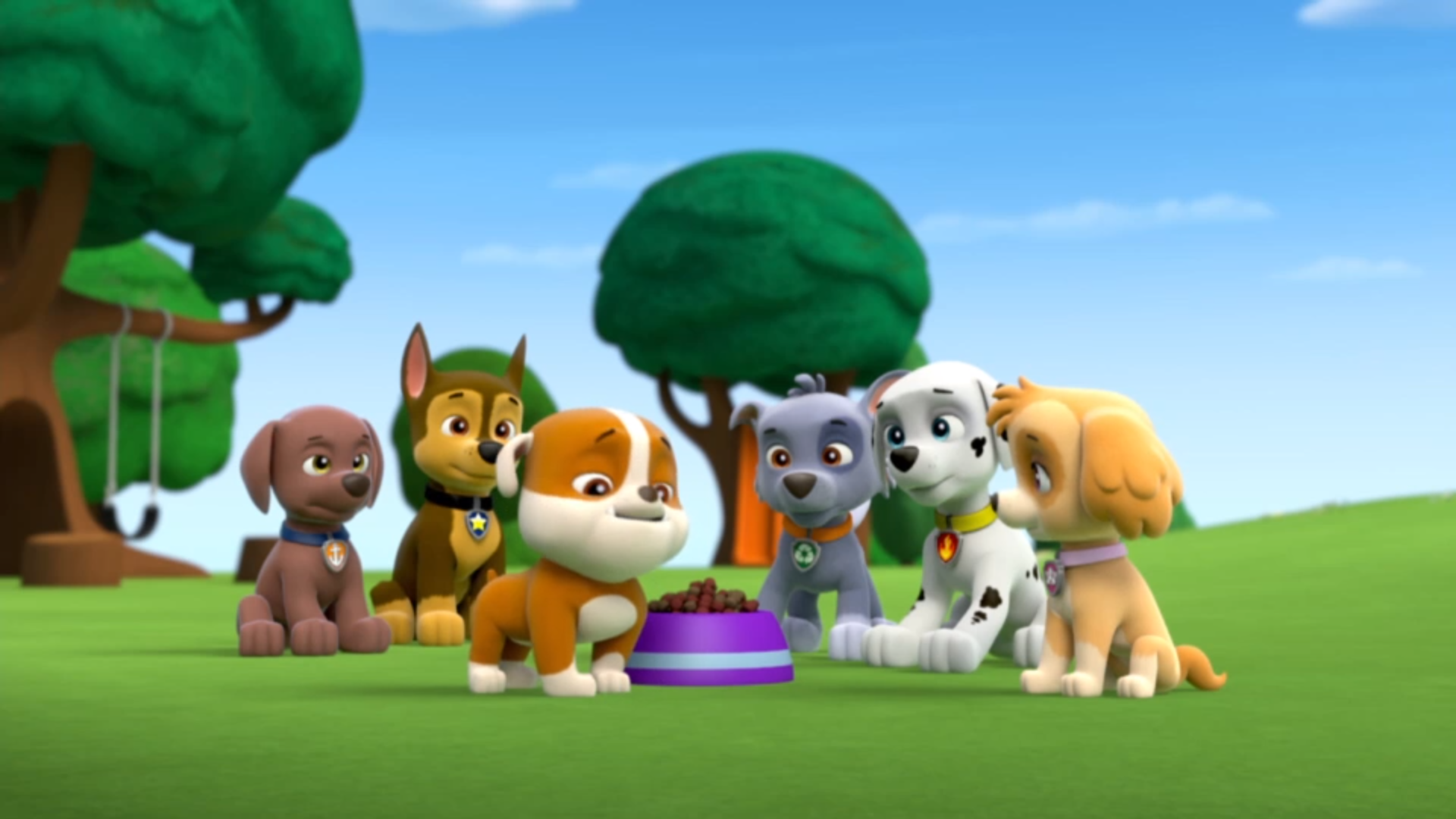 Pups Get a Rubble/Trivia, PAW Patrol Wiki