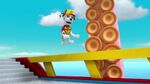 PAW.Patrol.S04E19.Pups.Save.A.Baby.Octopus.1080p.NICK.WEB-DL.AAC2.0.x264-RTN 647066