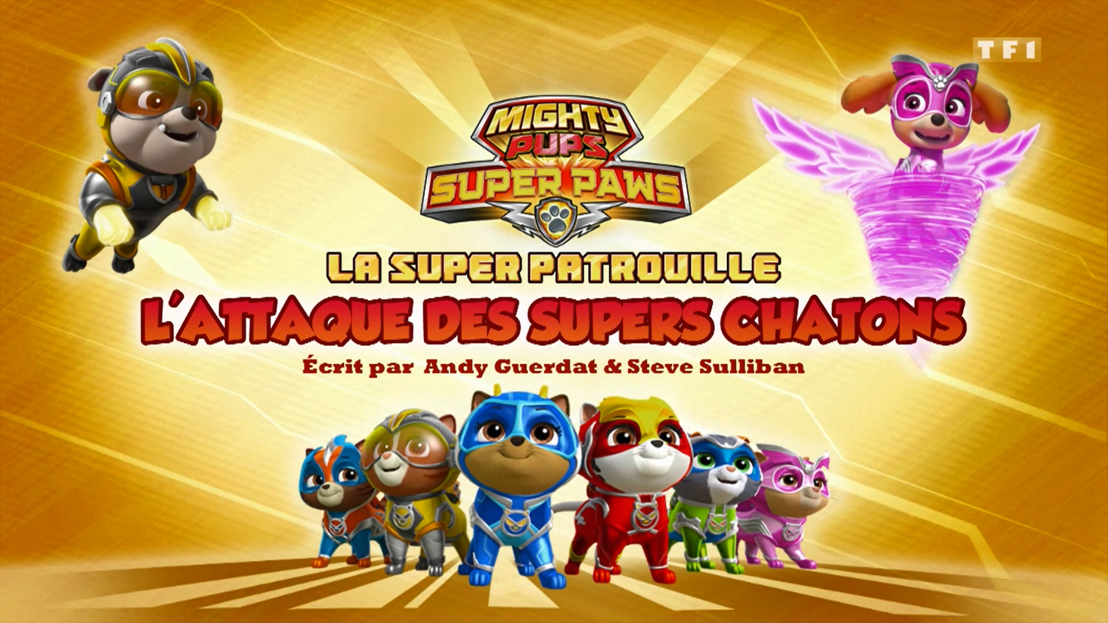 Paw patrol super paw sales
