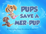 Pups Save a Mer-Pup