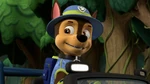Jungle Rescue uniform with spy pup pack (as of Season 8)
