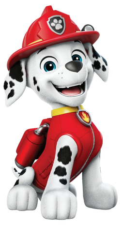 Marshall boat paw patrol shop