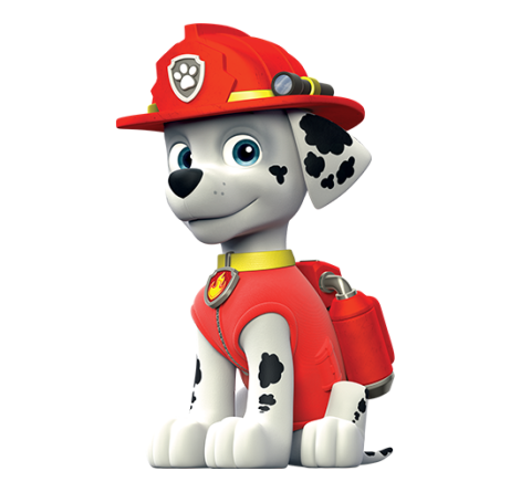 paw patrol marshall bike