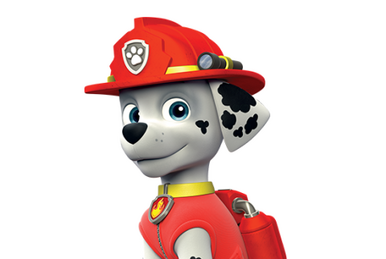 Marshall off of paw patrol discount