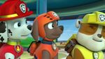 PAW.Patrol.S01E15.Pups.Make.a.Splash.-.Pups.Fall.Festival.720p.WEBRip.x264.AAC 252619