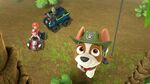 Paw.Patrol.S03E25.Tracker.Joins.the.Pups.720p.WEB-DL.AAC2.0.H264-BTN 736570