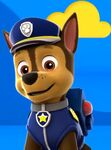 Chase paw patrol