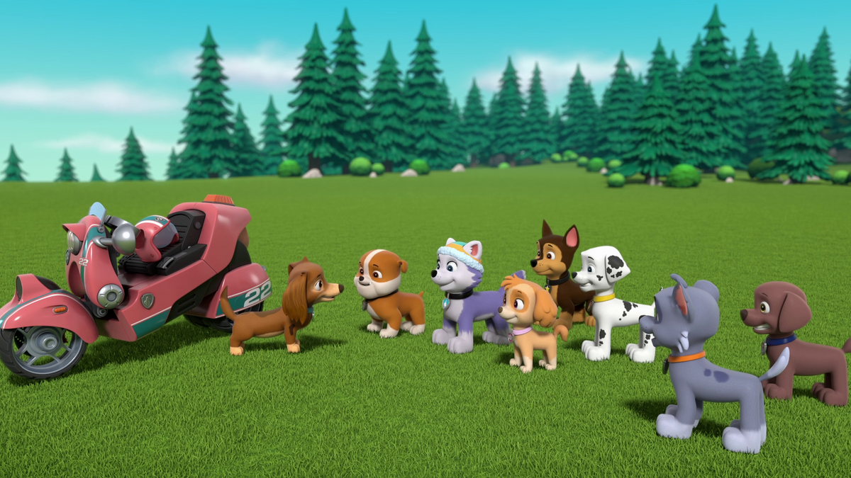 Paw patrol mountain rescue discount