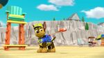 PAW.Patrol.S04E19.Pups.Save.A.Baby.Octopus.1080p.NICK.WEB-DL.AAC2.0.x264-RTN 1075089