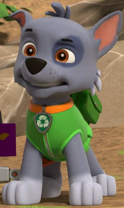 Rocky, PAW Patrol Wiki