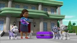 Pups Save the Treasure Cruise/Gallery 