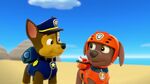 PAW.Patrol.S01E26.Pups.and.the.Pirate.Treasure.720p.WEBRip.x264.AAC 582482