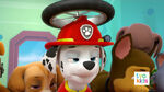 PAW Patrol 324B Scene 24