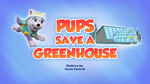 Pups Save a Greenhouse (HQ)